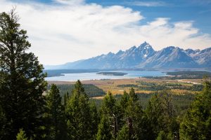 Jackson Lake and Teton Mountains