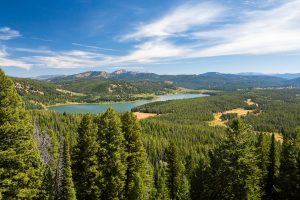 Two Ocean Lake and Forest