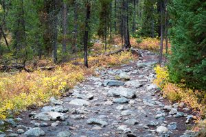 Rocky Section of Lake Creek Trail