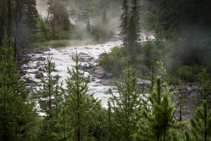 Fog on String Lake Runoff