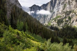 Fog Rising Up from the Mouth of Death Canyon