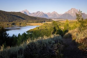 Tetons Beyond Oxbow Bend Overlook Trail