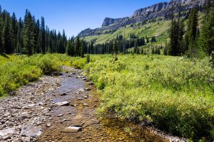 Death Canyon Creek Below Death Canyon Shelf