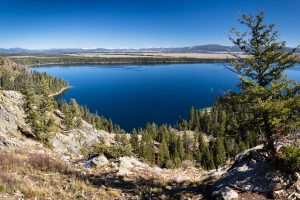 Jenny Lake Below Inspiration Point