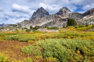 Tetons Above Upper South Fork of Cascade Canyon