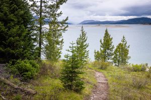 Spur Trail Descending Toward Jackson Lake