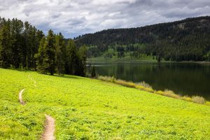Large Meadow Stretching Out Above Lake
