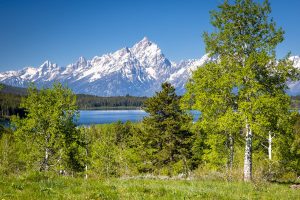 Teton Mountains Above Emma Matilda Lake