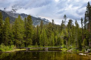 Valley Trail Bridge Crossing Bradley Lake