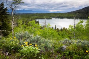 Stormy Weather Moving in Over Taggart Lake
