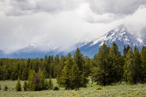 Storms Moving In over Tetons and Forests