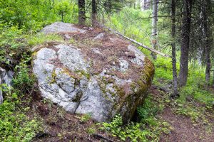 Large Boulder Below Lush Forest