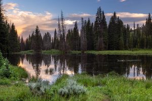 Moose Ponds Below Distant Storm Clouds