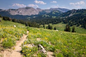 Teton Crest Trail Above Granite Canyon