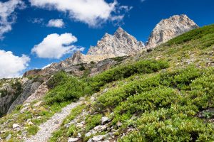 Grand and Middle Tetons Above Trail