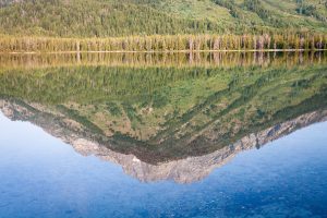 Mount Moran Reflection in Leigh Lake