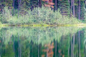 Bearpaw Lake Reflections