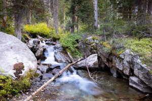 Small Waterfall Along South Fork Creek