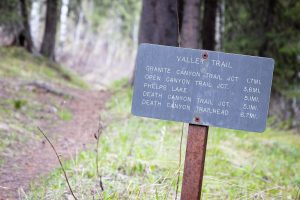 Valley Trail Sign at Southern Terminus