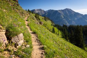 Trail Ascending Above Granite Canyon