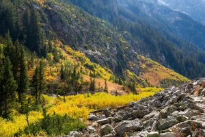 Autumn leaves adding splashes of color to the rocky slopes of Cascade Canyon in the Teton Mountains. Grand Teton National Park, Wyoming