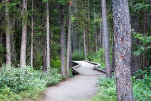 String Lake Trail on Footbridge