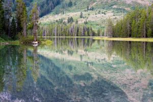 String Lake Reflections