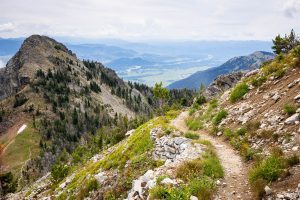 Albright Peak Above Alaska Basin Trail