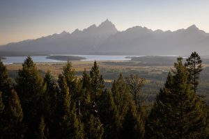 Teton Mountains Rising Above Jackson Lake