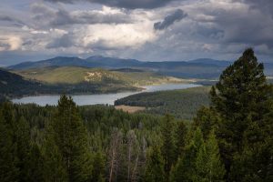 Two Ocean Lake Surrounded by Forest