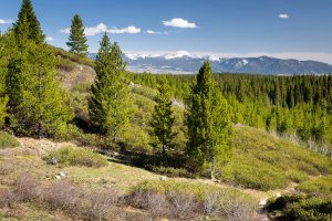 Jackson Peak Beyond Valley Trail