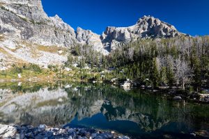 Teewinot Reflected in Amphitheater Lake