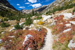 Lake Solitude Trail in North Fork