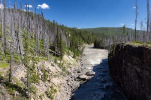 The Snake River flowing downstream through Flagg Canyon. John D. Rockefeller Jr. Memorial Parkway, Wyoming