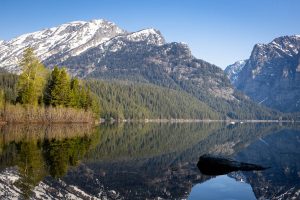 Tetons Reflected in Phelps Lake