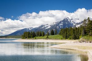 Teton Mountains Above Jackson Lake with Low Water