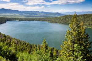 Phelps Lake Breaking Up Dense Forest