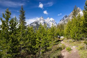 Cathedral Group Above Trail