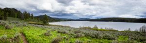 Two Ocean Lake Trail and Lake