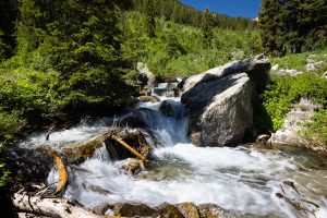 Small Waterfall Along Open Canyon Creek