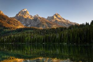 Tetons Above Forest Surrounding Taggart Lake