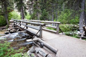Cascade Creek Rushing Below Footbridges