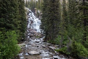Hidden Falls Pouring Through Forest