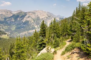 The Rendezvous Mountain Trail descending into the upper reaches of Granite Canyon. Grand Teton National Park, Wyoming