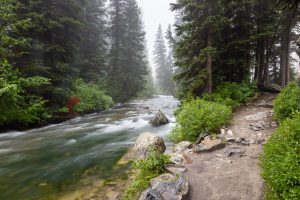 Cascade Creek rushing past the Cascade Canyon Trail as a thick fog engulfs the canyon. Grand Teton National Park, Wyoming