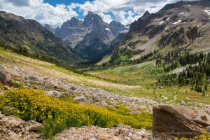 North Fork of Cascade Canyon
