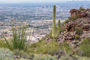 Phoenix, Arizona Region