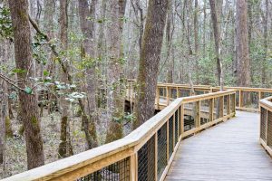 South Carolina