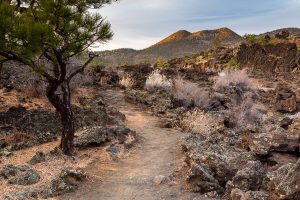 Flagstaff, Arizona Region