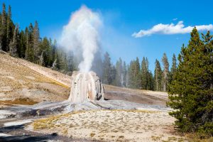 Lone Star Geyser Steam Phase